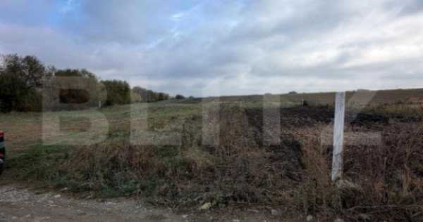 Teren extravilan, 674 mp, zona ,,Statiei de Betoane'' Scheia