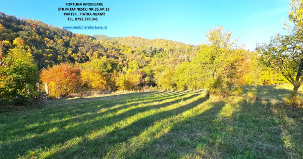 Proprietate cu 6329 mp teren intravilan, Casa P+1 si anexe,Al.cel Bun