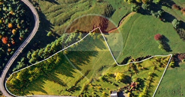 Teren 7,160mp Tarlungeni / Strada Mihai eminescu