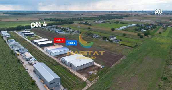 Hale 550 mp &icirc;n Frumușani | V&acirc;nzare sau &icirc;nchiriere | 2 unități