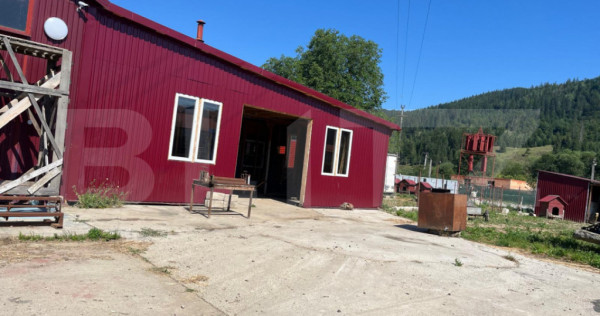 Hale de v&acirc;nzare, 295 mp, zona Nord - Frasin