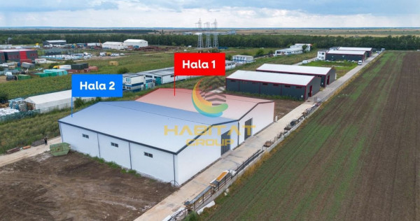 Hale 550 mp &icirc;n Frumușani | V&acirc;nzare sau &icirc;nchiriere | 2 unități