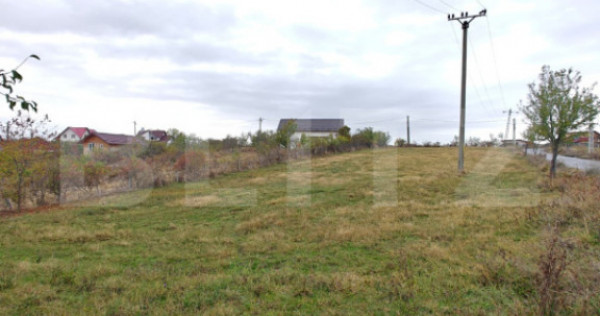 Teren intravilan, 5000 mp, zona Băbana