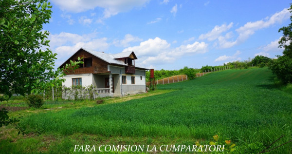 Casa cu teren 3000 mp, Zona Linistita