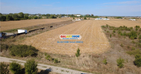 Teren Bragadiru - Podisor