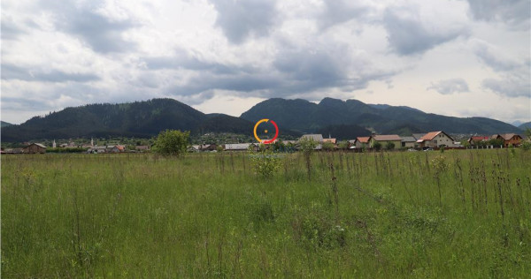 Teren intravilan13100 mp pentru dezvoltare imobiliara