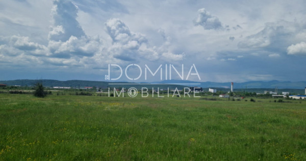 Teren extravilan &icirc;n Tg Jiu, str. Ciocarlau