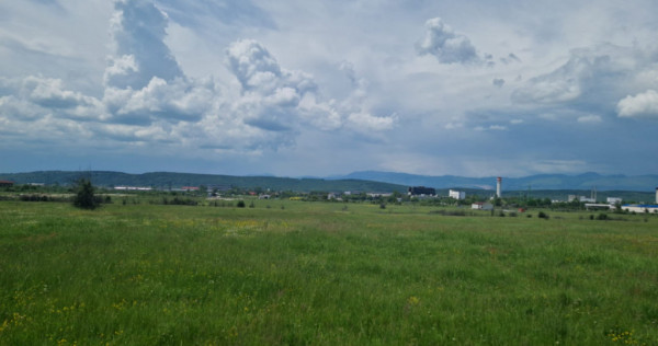 Teren extravilan în Tg Jiu, str. Ciocarlau