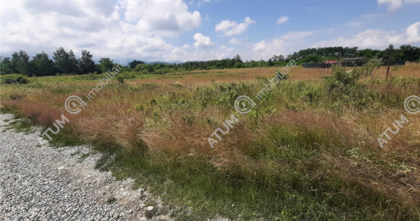 Teren Intravilan pe Valea Avrigului loc Avrig suprafata 7100