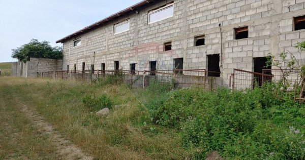 Teren parțial intravilan-300000mp Stroiești-Trei Movile...