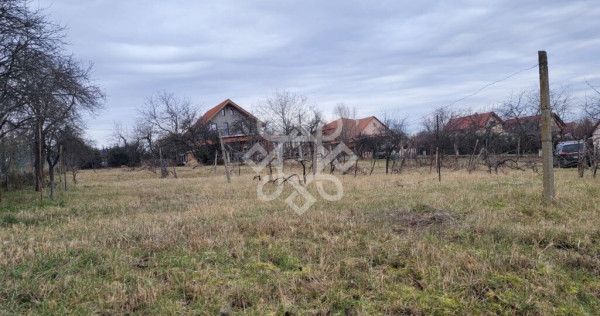 Casa cu teren 1281 mp de zona Oncea, Oradea