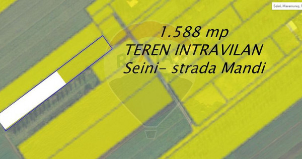 Teren 1,588mp Seini / Strada Mandi