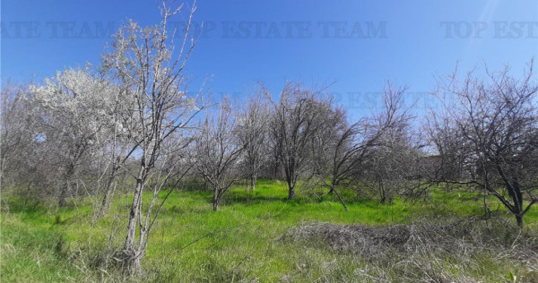 Teren 4000 mp casa demolabila in Bragadiru/Varteju (Magure