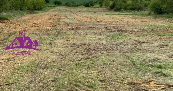 Teren extravilan zona Episcopia