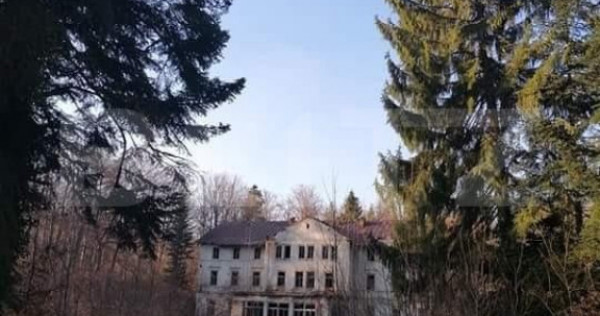 Vila printesei Sisi, 30 de camere, 3 ha, 2000 mp construiti,