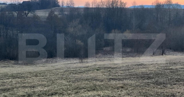 Teren intravilan, 27750mp, Horodnic de Jos, Radauti