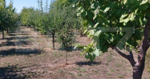 Teren extravilan de vanzare 2603 mp, zona IPL