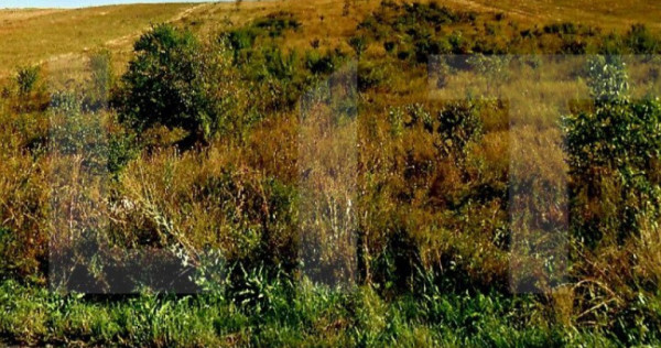 Teren intravilan 6500 mp, situat in cartierul Someseni