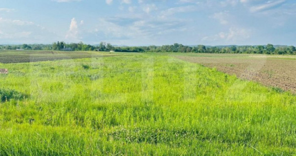 Teren 5500mp extravilan,Sat Dimoiu