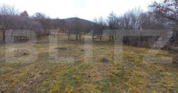 Teren extravilan 1500mp,Valea Rusului