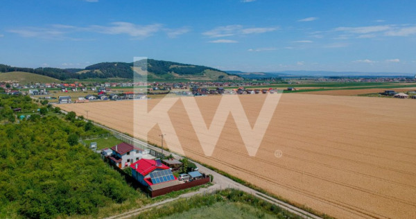 Teren Extravilan Sanpetru! Ideal pentru Investitie! - 9300 m