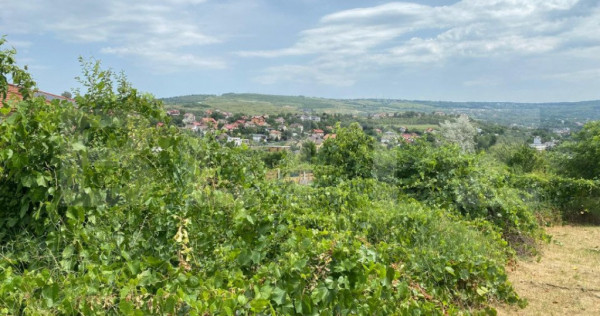 Teren intravilan 1500mp zona Lidl Bucium