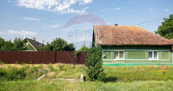 Casă cu teren 2880 mp,Misca judet Arad