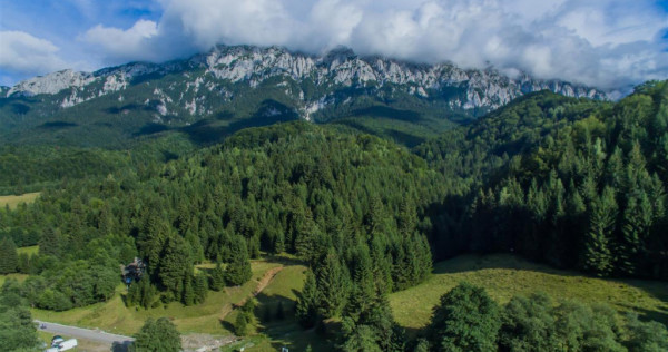 3 Hectare, teren cu privelisti memorabile, la poalele Masivu