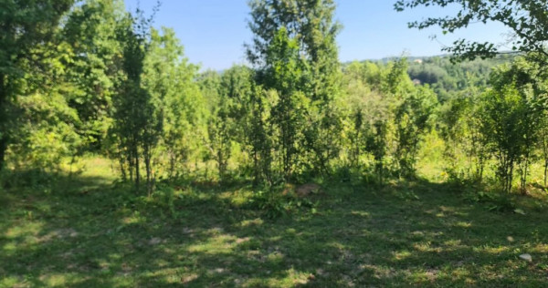 Teren de vânzare în Poiana-Câmpina