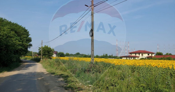 Loturi teren 1,000mp Ciolpani / Strada Catunului lângă ...