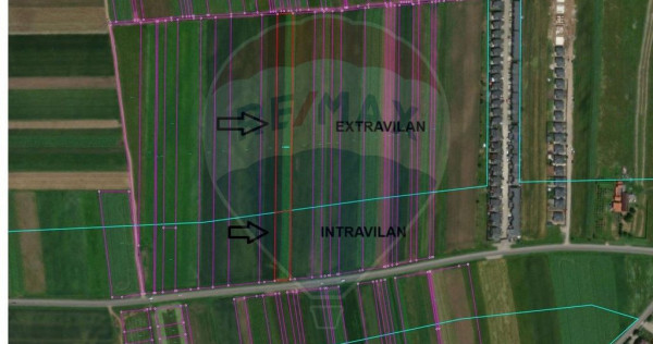 Teren 10,000 metri pătrați Tărlungeni / Strada Zizinului