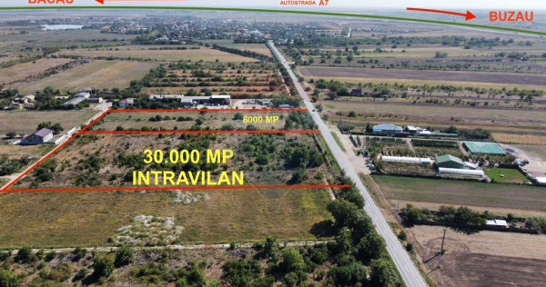 Lot 6000mp intravilan langa A7