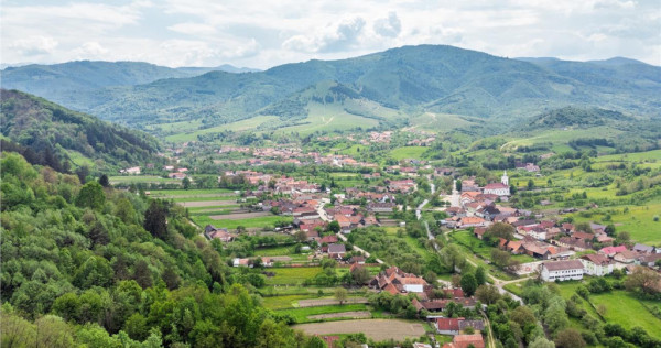 FILM! Pe domeniu de 8.500 mp teren, intravilan, casa traditi