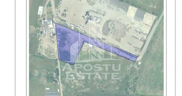 Teren intravilan 7919 mp Vladimirescu