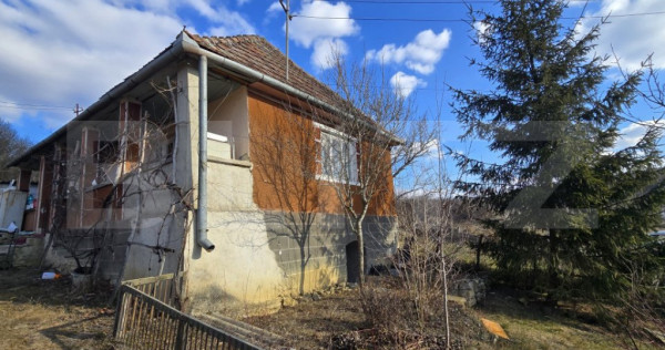 Casă cu farmec rustic, teren de 4887 mp