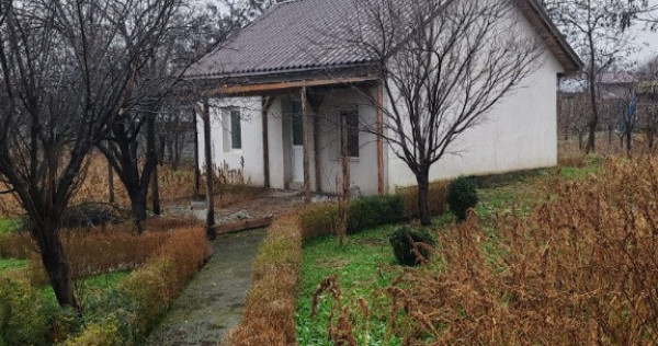 Casa de vanzare sat Lunca,comuna CA Rosetti,judetu Buzau.