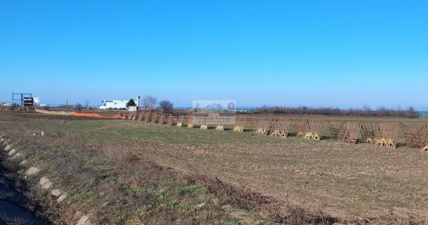Teren 5000 mp, ieșire din Tecuci, după Peco Gălbenuș