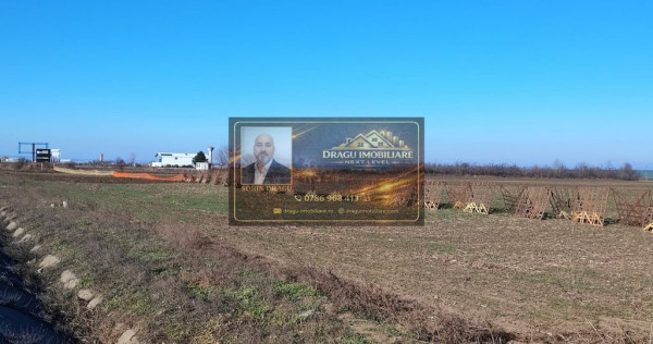 Teren 5000 mp, ieșire din Tecuci, după Peco Gălbenuș