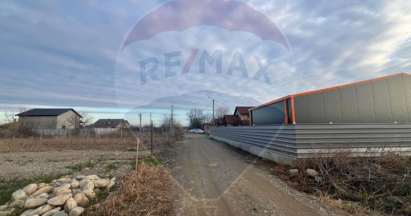 Teren extravilan Campineanca / Strada Toamnei