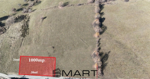 Teren extravilan 1000mp in Tocile de Jos