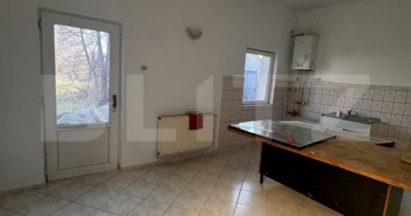 Casa individuala, 7 camere, 217 mp, 624 mp teren, zona Frate