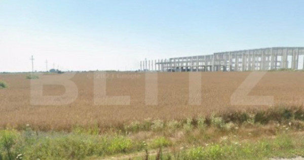 Teren intravilan, 18.802 mp, zona Carcea