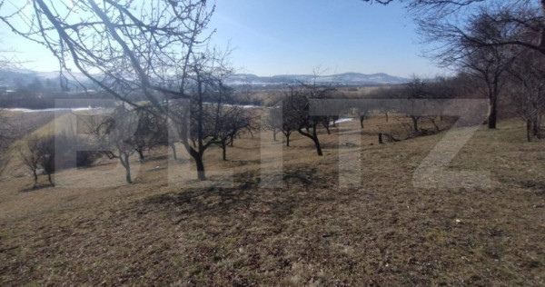 Teren extravilan de vanzare, 25 ari, zona Rusul Bargaului