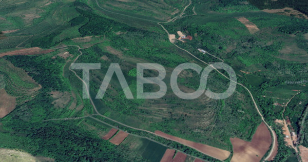 Teren extravilan de vanzare 10000 mp zona Gusterita