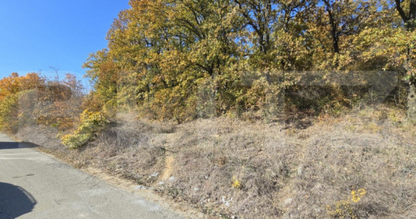 Oportunitate! 10 hectare de Padure in Satul de Vacanta Poda