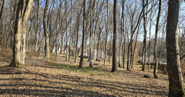 Teren cu sufrafata de 1100 mp in Padurea Faget