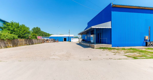 Depozit frigo de închiriat în Săcălaz