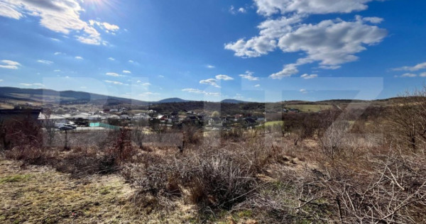 Teren intravilan de vanzare, 11.33 ari, situat in zona Valea