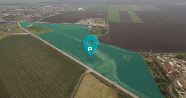 Teren 76.000mp între Sântana și Caporal Alexa