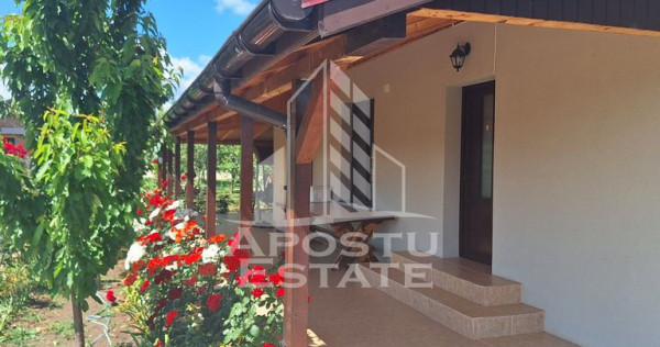 Casa individuala in Ianova,Comuna Remetea Mare